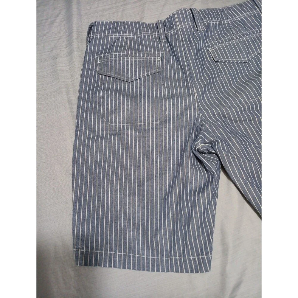 Banana Republic Vintage Straight Pin Striped Comet Blue Shorts Size 34
